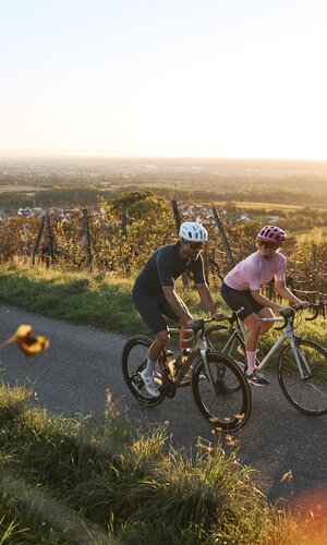 Radfahren in Malsch am Letzenberg, Rhein-Neckar, Baden Württemberg, Deutschland