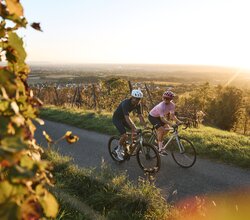 Radfahren in Malsch am Letzenberg, Rhein-Neckar, Baden Württemberg, Deutschland