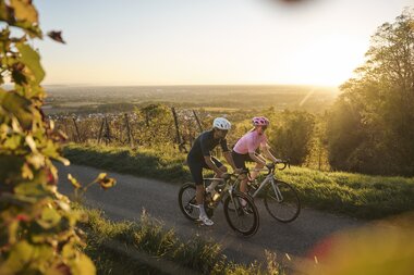 Radfahren in Malsch am Letzenberg, Rhein-Neckar, Baden Württemberg, Deutschland