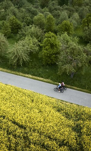 Radtour in Distelhausen im Taubertal, Baden-Württemberg, Deutschland