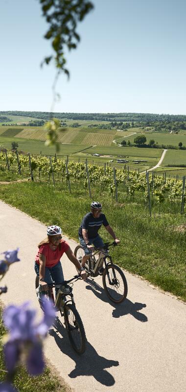 WeinRadeln - Württemberger Weinradweg | Staufenberg, Deinenbachtal, Flein, HeilbronnerLand, Baden-Württemberg, Deutschland
