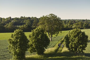 Schwetzingen, Rhein-Neckar, Baden-Württemberg, Deutschland