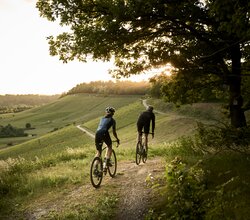 Radfahren am Zweifelberg, Kraichgau-Stromberg, Baden-Württemberg in Deutschland | © Stefan Leitner