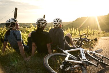 Radfahren am Zweifelberg, Kraichgau-Stromberg, Baden-Württemberg in Deutschland | © Stefan Leitner