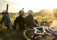 Radfahren am Zweifelberg, Kraichgau-Stromberg, Baden-Württemberg in Deutschland | © Stefan Leitner