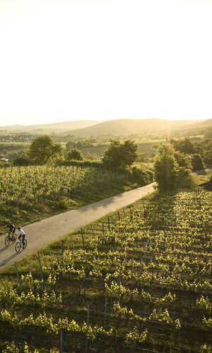 Radfahren am Derdinger Horn, Kraichgau-Stromberg, Baden-Württemberg in Deutschland