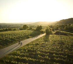 Radfahren am Derdinger Horn, Kraichgau-Stromberg, Baden-Württemberg in Deutschland