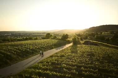Radfahren am Derdinger Horn, Kraichgau-Stromberg, Baden-Württemberg in Deutschland