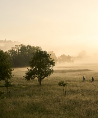 Untermünkheim, Baden-Württemberger, Deutschland | © Stefan Leitner