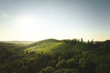 Bretten, Kraichgau-Stromberg, Baden-Württemberg, Deutschland