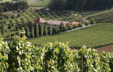 Benz  Das Weinhotel