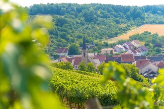 BENZ Weingut & Weinhotel | © Liebliches Taubertal