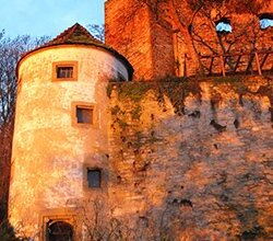 Burg Ehrenberg