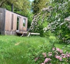 Cabins