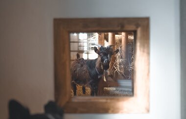 Ferienhaus Guck in den Stall bei Rot am See | © Hohenlohe + Schwäbisch Hall Tourismus e. V.