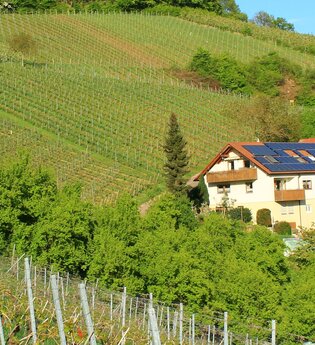 Der landwirtschaftliche Hof ist umrahmt von Weinbergen. | © Touristikgemeinschaft Hohenlohe e. V. | Ferienwohnung Kraft