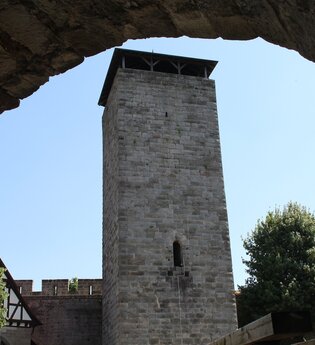 Bergfried Langhans | Burgfalknerei Hohenbeilstein | Beilstein | HeilbronnerLand | © Burgfalknerei Hohenbeilstein