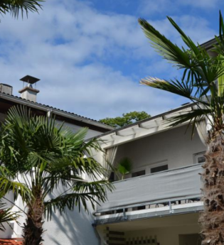 PalmGarden