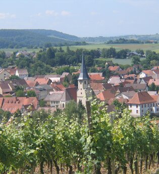 Stellplatz auf dem Weingut GravinO | © Land der 1000 Hügel - Kraichgau-Stromberg