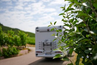 Stellplatz auf dem Weingut Zaiß | © Kraichgau-Stromberg Tourismus e.V.