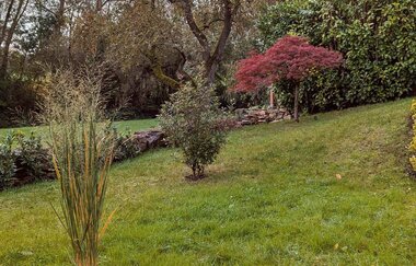 Ferienwohnung_Kipar_Pfedelbach Terrasse | © Hohenlohe Perlen