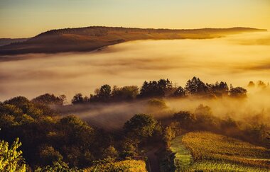 WeinHerbst im Naturpark Stromberg-Heuchelberg | Weinsberger Tal | HeilbronnerLand | © Touristikgemeinschaft HeilbronnerLand