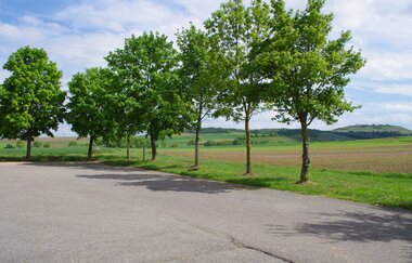 Stellplatz | Weingärtner Cleebronn-Güglingen | HeilbronnerLand | © Weingärtner Cleebronn-Güglingen