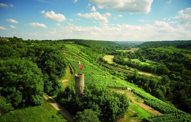 Besigheim | © Stuttgart Marketing GmbH
