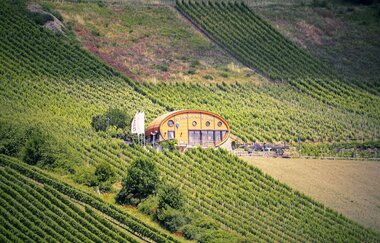 Das Ingelfinger Fass liegt malerisch in den Weinbergen im Kochertal. | © Touristikgemeinschaft Hohenlohe e. V. |  Andi Schmid