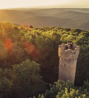 Katzenbuckel-Turm im Sonnenuntergang / Odenwald | © Touristikgemeinschaft Odenwald e.V.