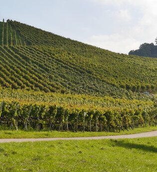 Augenberg