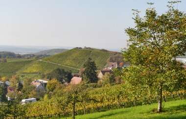 Augenberg