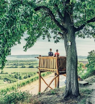 Aussichtskanzel am Zweifelberg