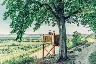 Aussichtskanzel am Zweifelberg