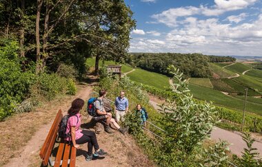 Aussichtskanzel am Weinausschank im Zweifelberg | Brackenheim | HeilbronnerLand