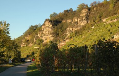 Terrassenweinberge bei Lauffen am Neckar | HeilbronnerLand