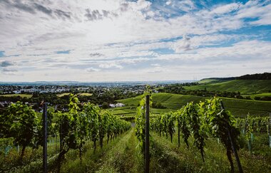 Bäckerei Kipp Biberach | RadServiceStation | © Weingut Schäfer-Heinrich, Nico Kurth