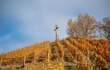 Aussichtspunkt Scheuerberg | Neckarsulm | HeilbronnerLand | © Stadt Neckarsulm