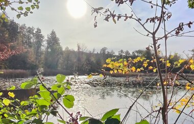 Bleichsee Löwenstein | HeilbronnerLand | © Touristikgemeinschaft HeilbronnerLand