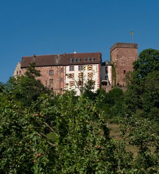 Burg und Burgpark Gamburg bei Werbach | © Liebliches Taubertal