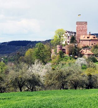 Burg und Burgpark Gamburg im Taubertal | © Unbekannt