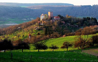 Burg und Burgpark Gamburg im Taubertal | © Unbekannt