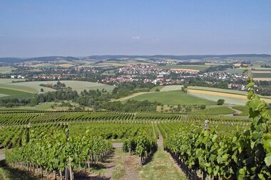 Der Blick geht über grüne Reben in ein Panorama über | © Touristikgemeinschaft Hohenlohe e. V. | Gemeinde Bretzfeld