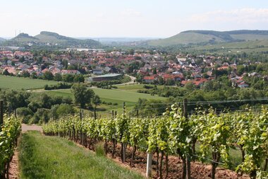 © Von Rosenzweig - Selbst fotografiert, CC BY-SA 3.0, https://commons.wikimedia.org/w/index.php?curid=2129867