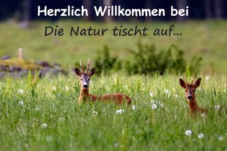 Die Natur tischt auf... GbR | © Liebliches Taubertal