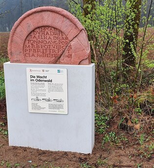 Die Wacht im Odenwald