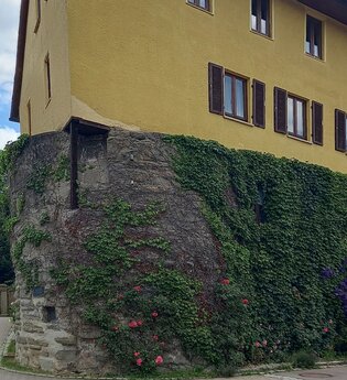 Ein gelbes Gebäude mit Efeu bewachsener Stadtmauer in Gaildorf. | © Petra Natzkowski