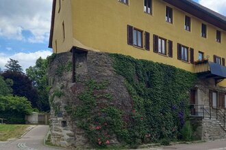 Ein gelbes Gebäude mit Efeu bewachsener Stadtmauer in Gaildorf. | © Petra Natzkowski