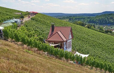 QuerFeldWein | WeinWanderEvent | Erlenbach | HeilbronnerLand | © Tourismus im Weinsberger Tal