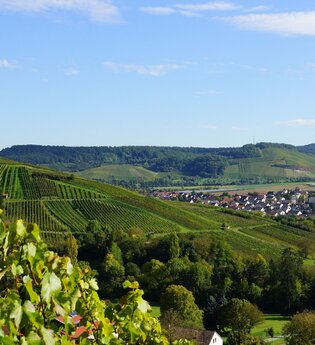 Blick auf´s Eschenauer Paradies | Obersulm | Weinsberger Tal | HeilbronnerLand